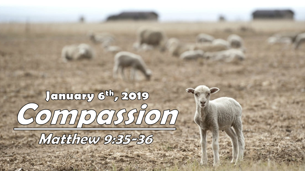 Compassion | January 6, 2019