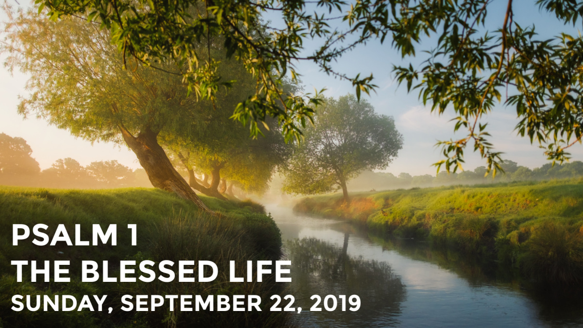 Psalm 1: The Blessed Life | September 22, 2019