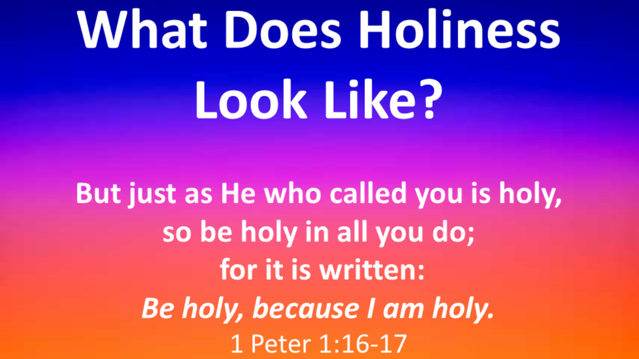 What Does Holiness Look Like? | Guest Speaker Rev. Bruce Naugle | 1 Peter 1:16-17 | January 30, 2022
